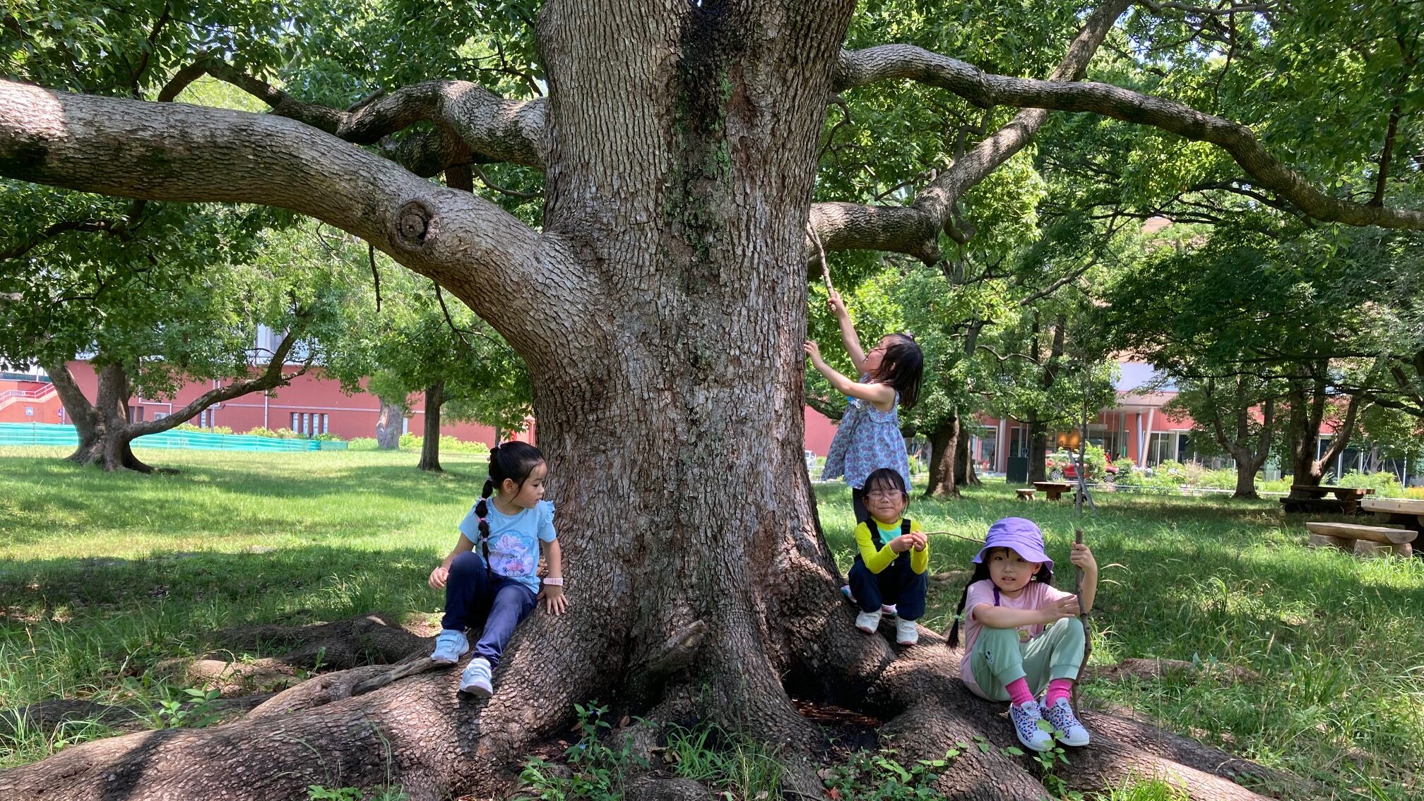 ともこ　ページ IMG_0836-1-e1722265918147.jpg