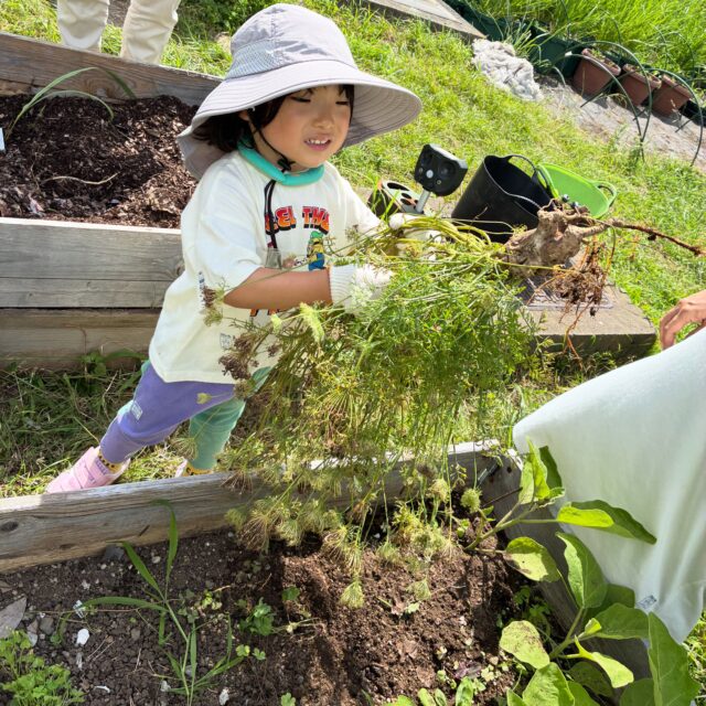 7月の豊洲SDGs菜園ビギナーコース。
少しずつ出来てきた野菜の収穫と、種とり。
種は鳥さんに食べられてしまったのもあったけれど。
私たちが秋に蒔く分は残っていたので、気にしない♪
おやつには、きゅうりとインゲン、赤紫蘇ジュースをいただきました♡ 

#豊洲公園
#豊洲SDGs菜園
#畑仕事
#循環
#マザーツリー自然学校