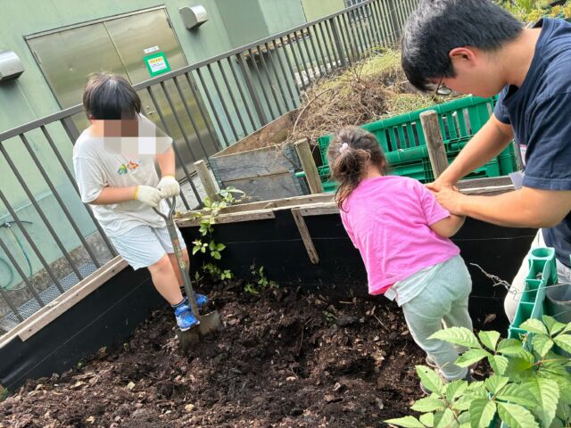 8月の豊洲SDGs菜園マスターコース。
稲には米粒ができていて、花が咲いていました。
かぼちゃのつるもぐんぐん伸びていて、やぶの中を探してみたらどうやら5つもできてる模様。嬉しいな♡

今日の畑仕事は腐葉土返しで、落ち葉が土に還っていくのをしっかり体感できました。
そして畑のクラフトでは、野菜の葉っぱでたたき染め。
おやつに今日収穫したお野菜をいただいて。
今日もご参加ありがとうございました！

#豊洲公園
#豊洲SDGs菜園
#畑仕事
#循環する暮らし
#マザーツリー自然学校