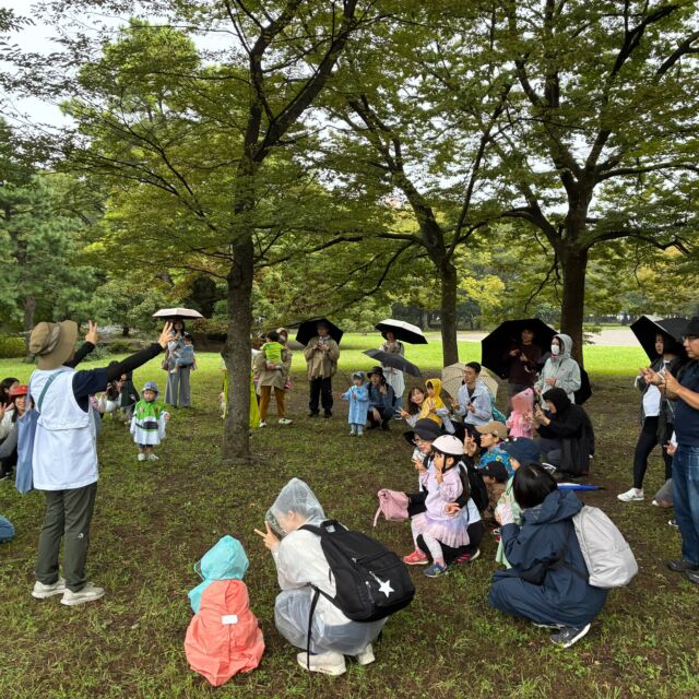 みどりの子育てひろば『秋の自然たんけん隊』@清澄公園。
雨にもかかわらず、たくさんの親子にご参加いただきました！

たんけんバッグをつくって、森へ出発！
雨の匂いと、森の匂いを存分に感じながら、いろいろな木の実や、キノコ、いきものたちとの出会いがありました。
素敵なものを見つけるたびに、こどもたちの「みてみて〜！」の声が響き渡り、お父さんお母さんも嬉しそう♡

とても楽しいひとときでした！
ご参加ありがとうございました。

#みどりの子育てひろば
#江東区
#自然体験
#自然遊び
#マザーツリー自然学校