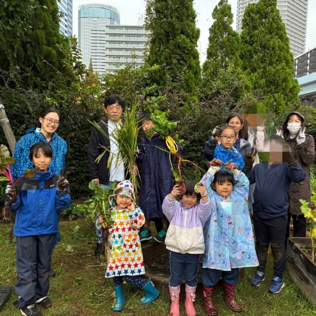 豊洲SDGs菜園マスターコース。
あいにくの雨模様でしたが、作業中は降られずに収穫や種まきなどおこなえました。
先月刈って干しておいた稲は、鳥さんに見つかってしまって全滅…(泣)今日は第2弾の稲刈りをしました。
さつまいも畑のお片付けもして、小さなお芋がたくさんとれました。
今日はニホントカゲやニホンカナヘビにも出会えて、みんなのテンションもアップ！
おやつには、スイスチャードのバター炒めと白ナスのソテーをいただきました♪

#豊洲公園
#豊洲SDGs菜園
#畑仕事
#循環する暮らし
#マザーツリー自然学校